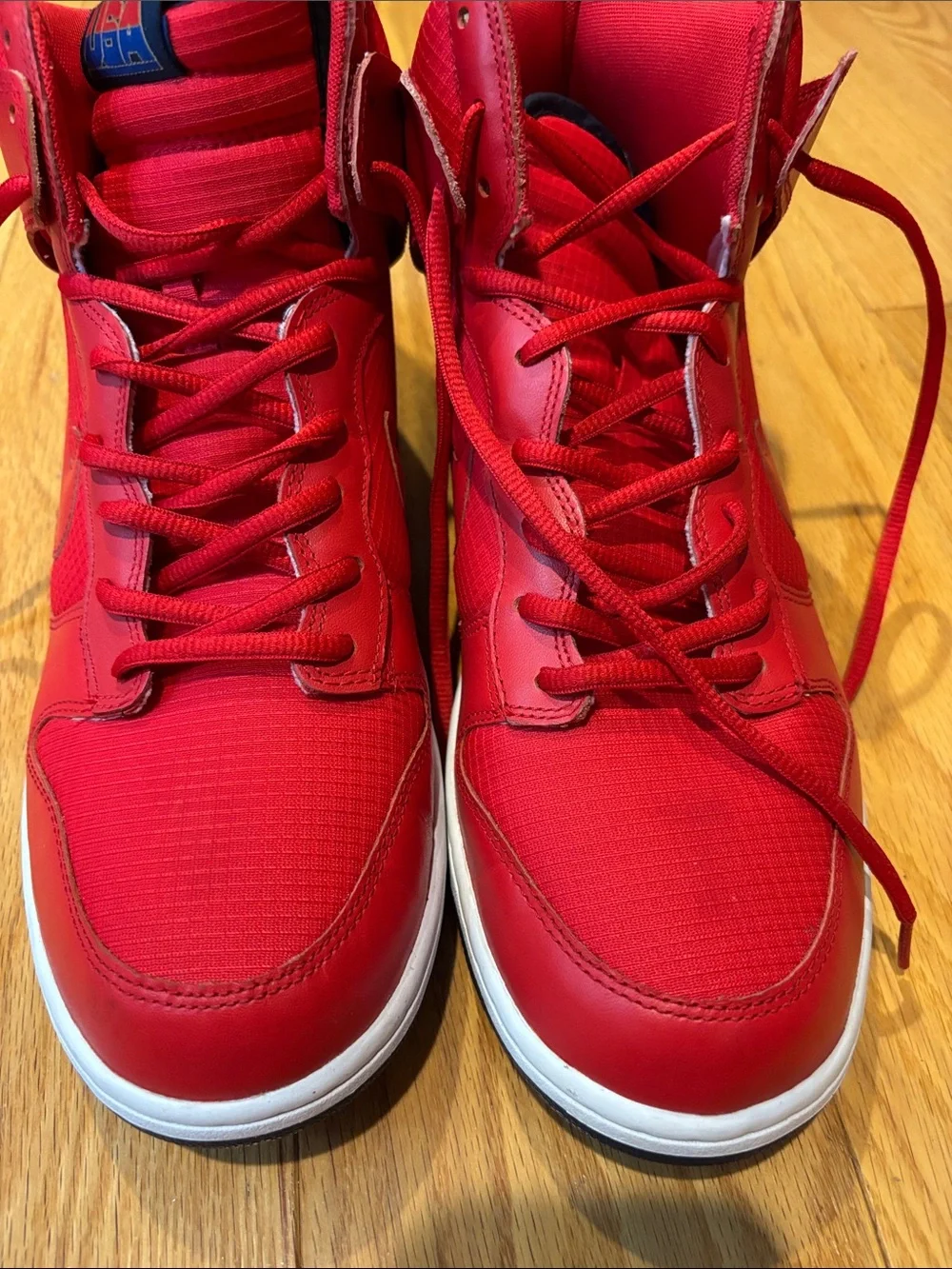 Nike mens dunk